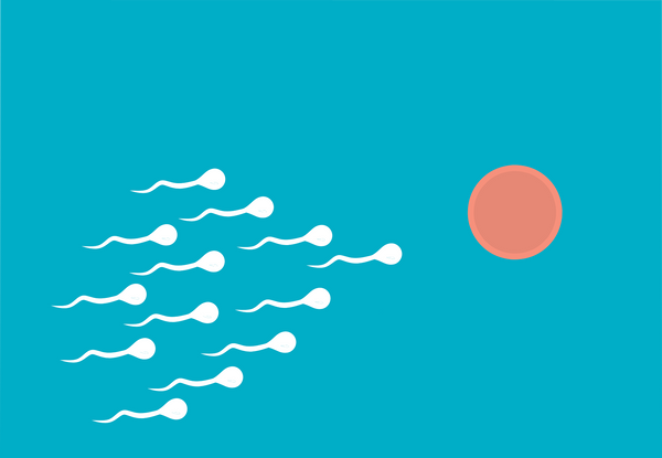 Migliore Test di Fertilità Maschile: come orientarsi tra le proposte del mercato